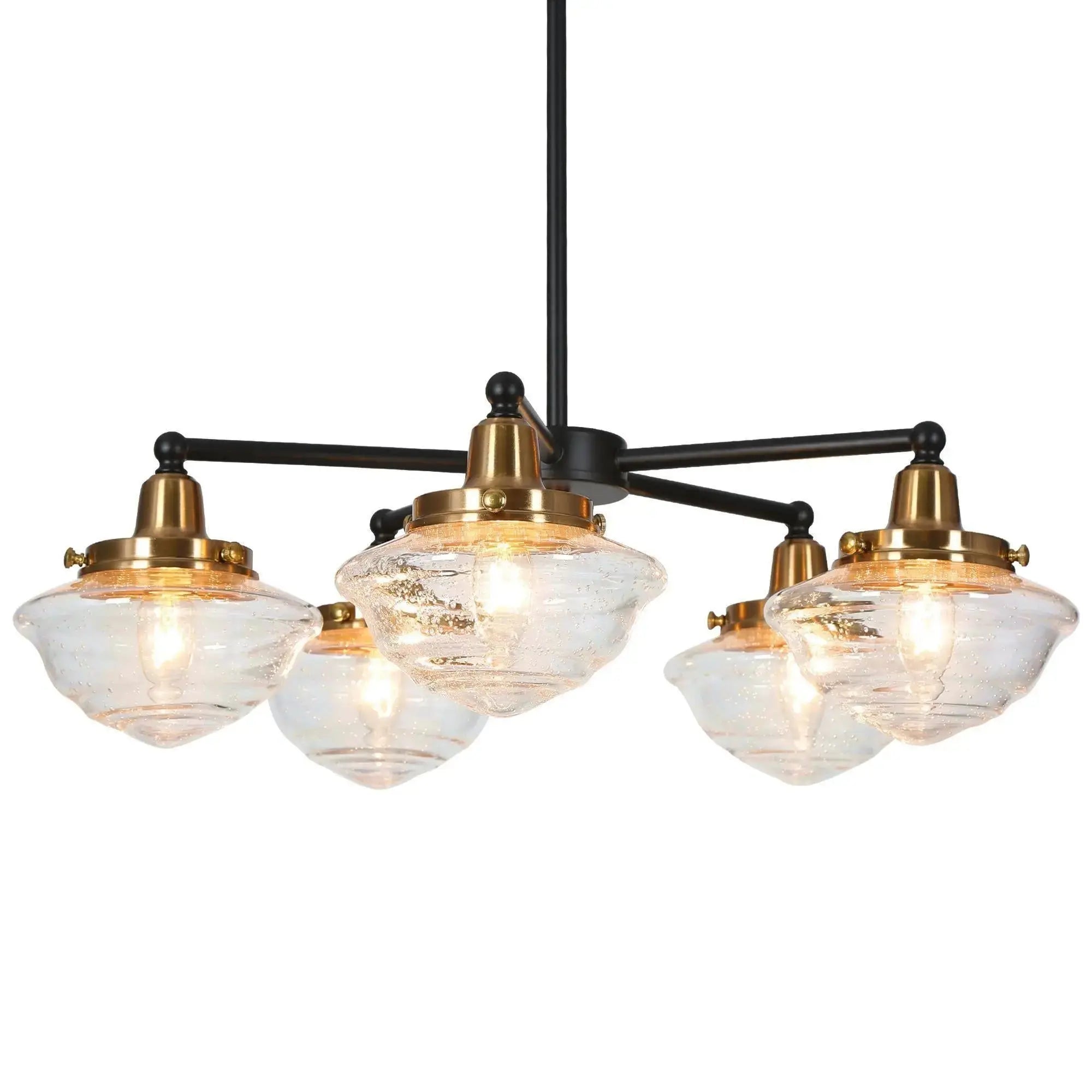 Gnetophyta 5-Light Medium Black Chandelier