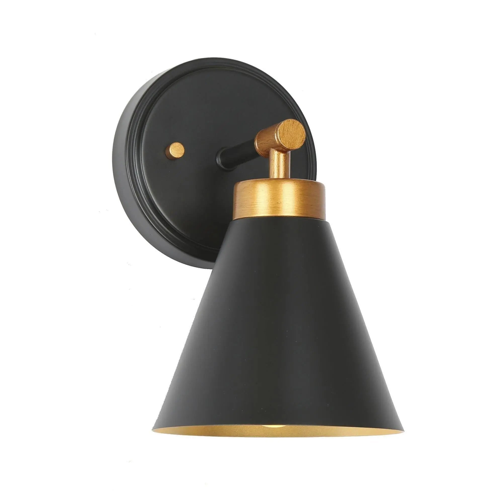 Tourmaline 1-Light Black and Brass Vanity Light