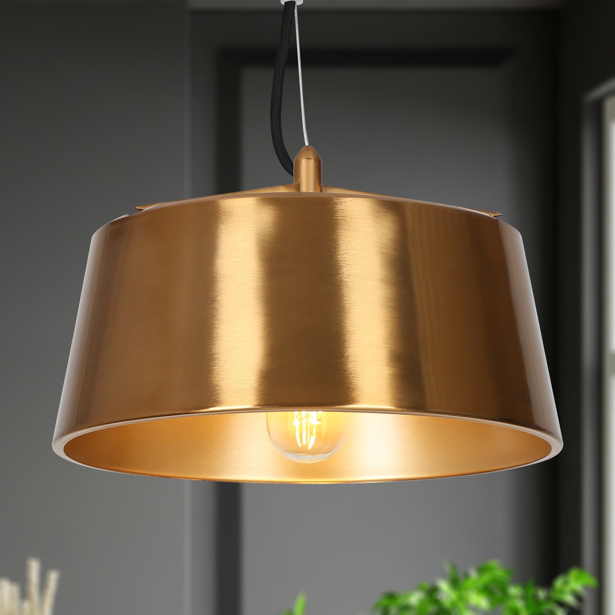 Turnipisne 1-Light Medium Black Modern Pendant Light Fixtures