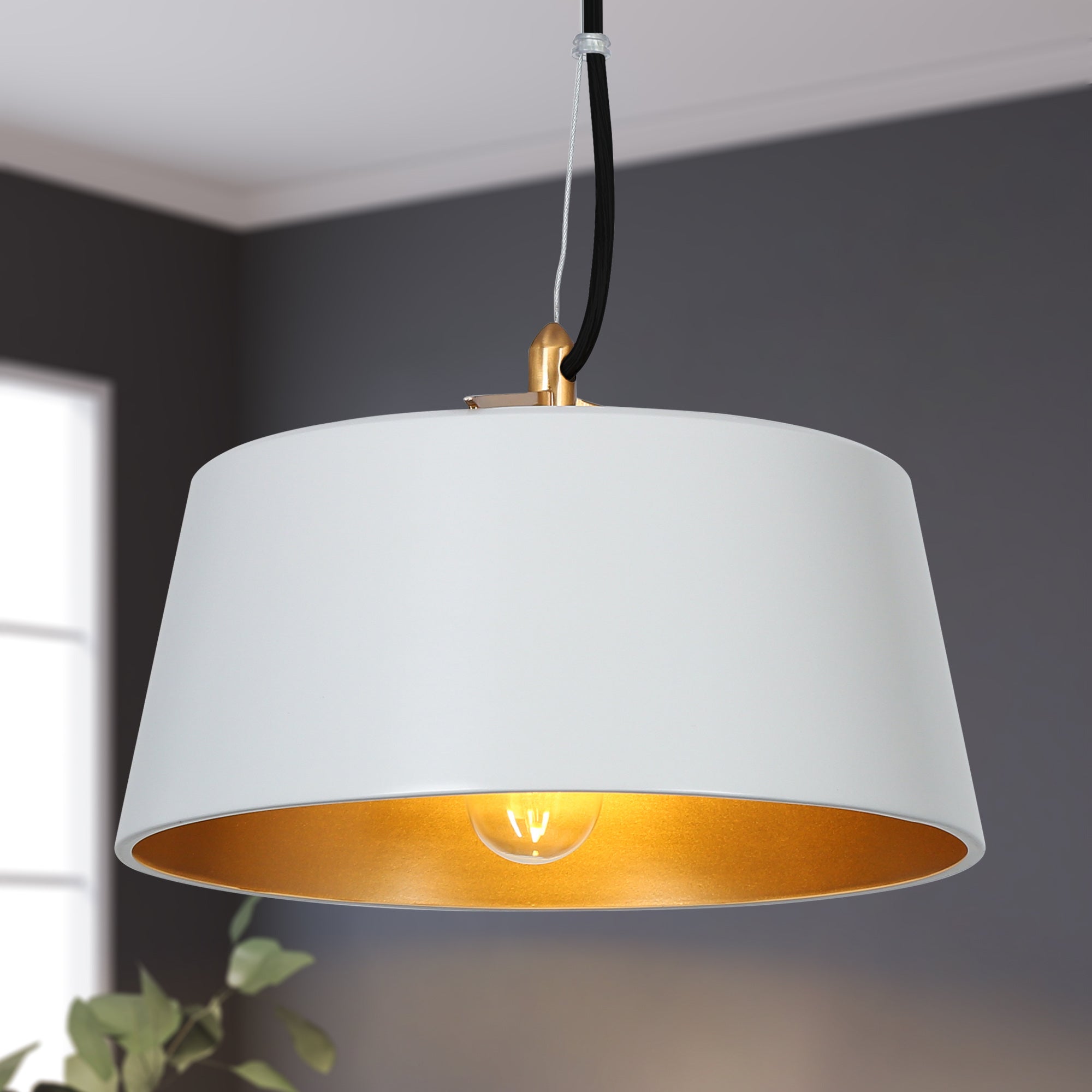 Turnipisne 1-Light Medium Black Modern Pendant Light Fixtures