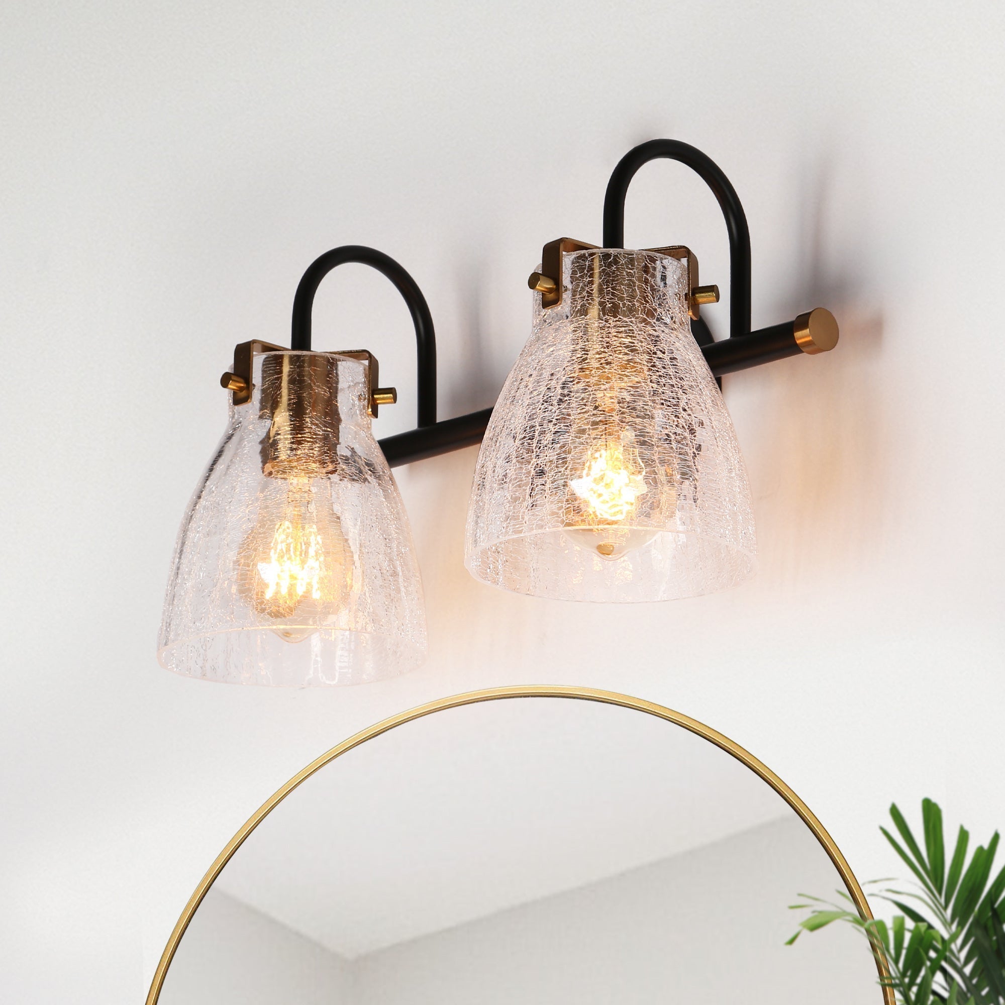 Aidtyrtm 1-Light Black and Brass Vanity Light