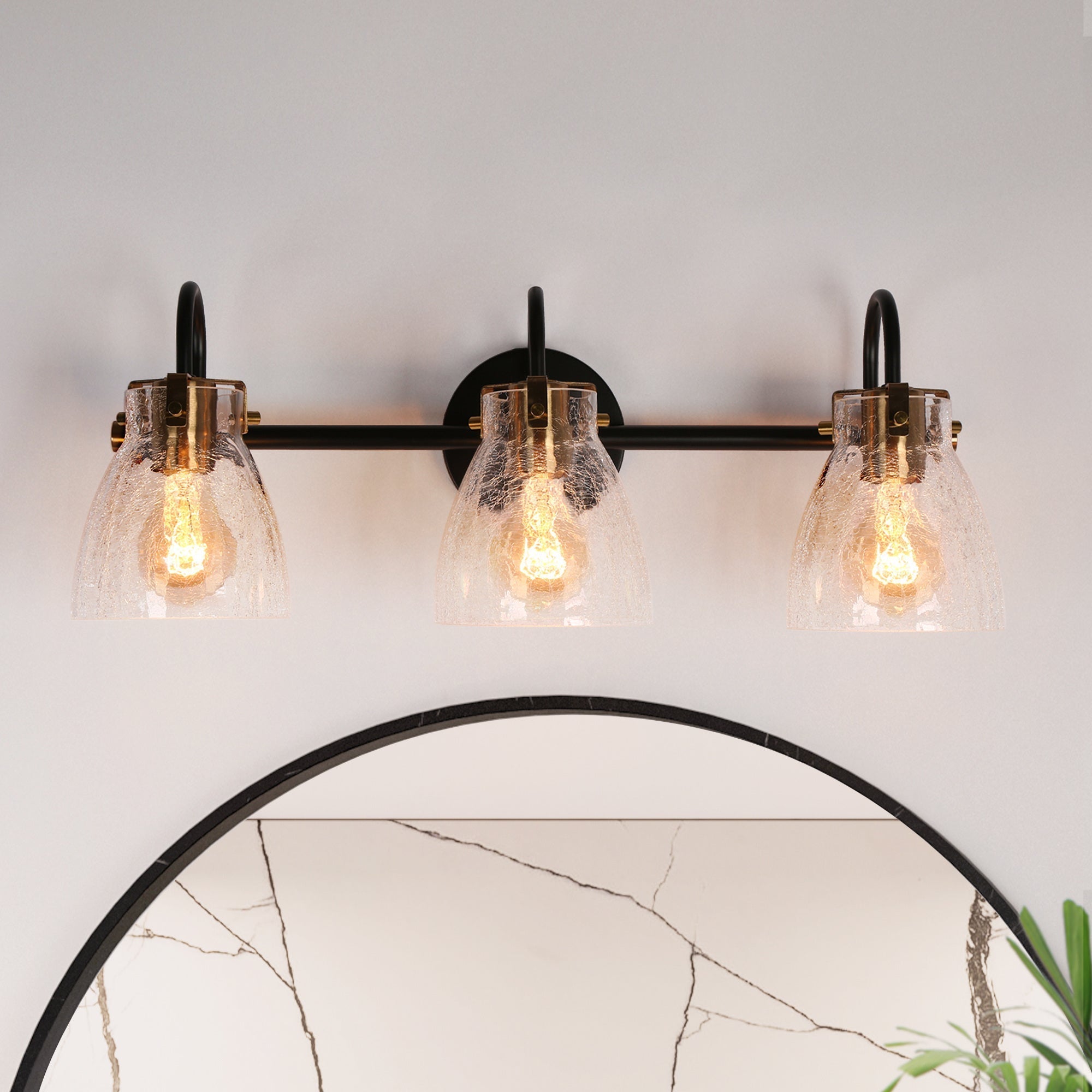 Aidtyrtm 1-Light Black and Brass Vanity Light