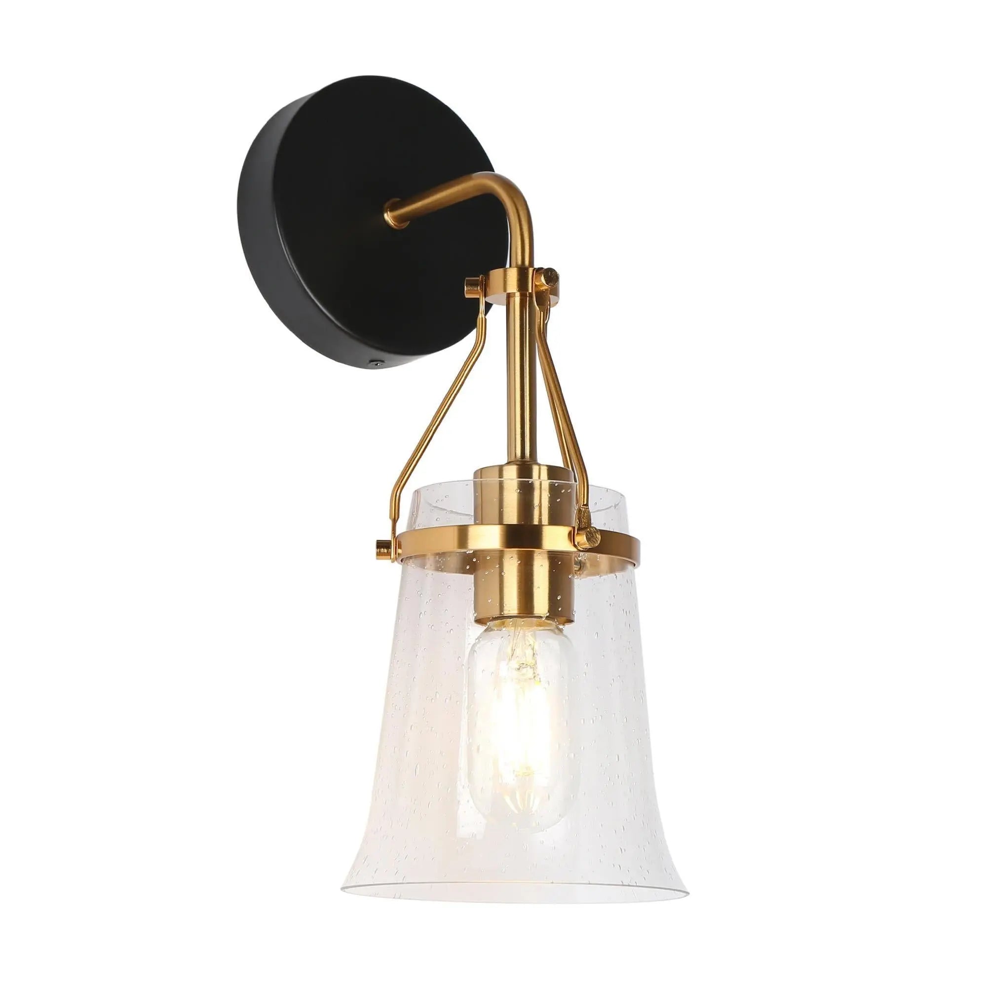 Auisre 1-Light Black and Brass Vanity Light