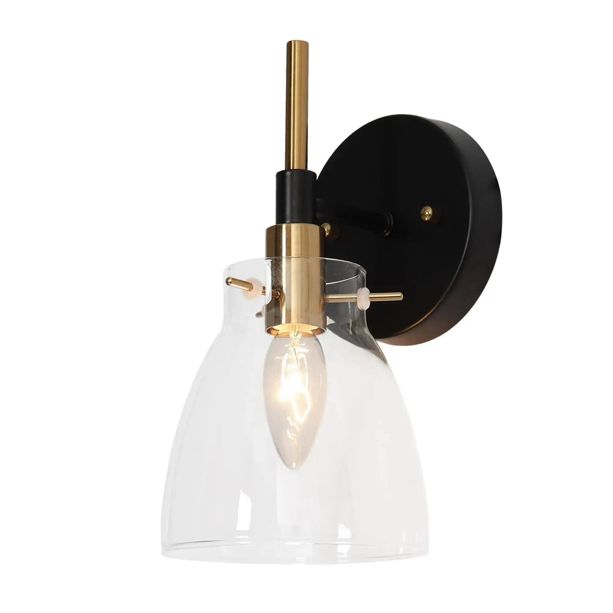 Aviannaiser 1-Light Black and Brass Vanity Light