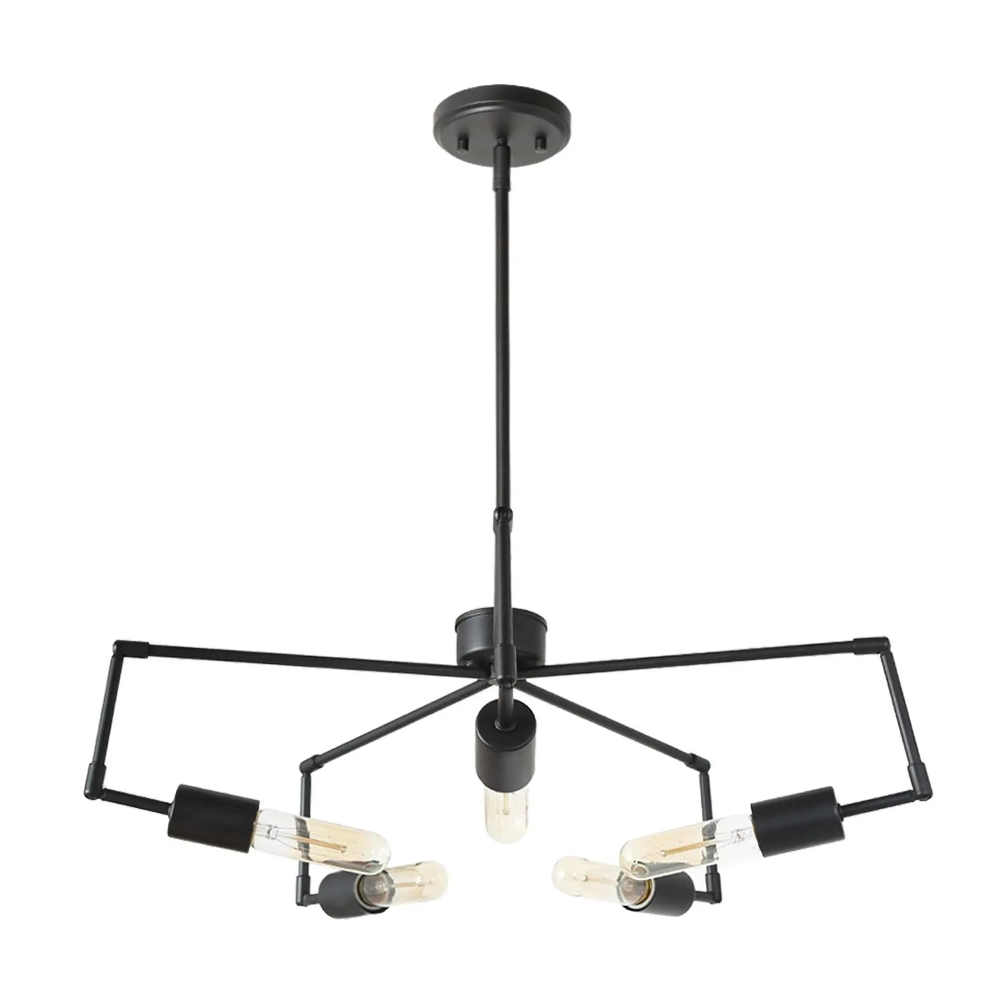 Cyphostemma 5-Light Medium Black Chandelier