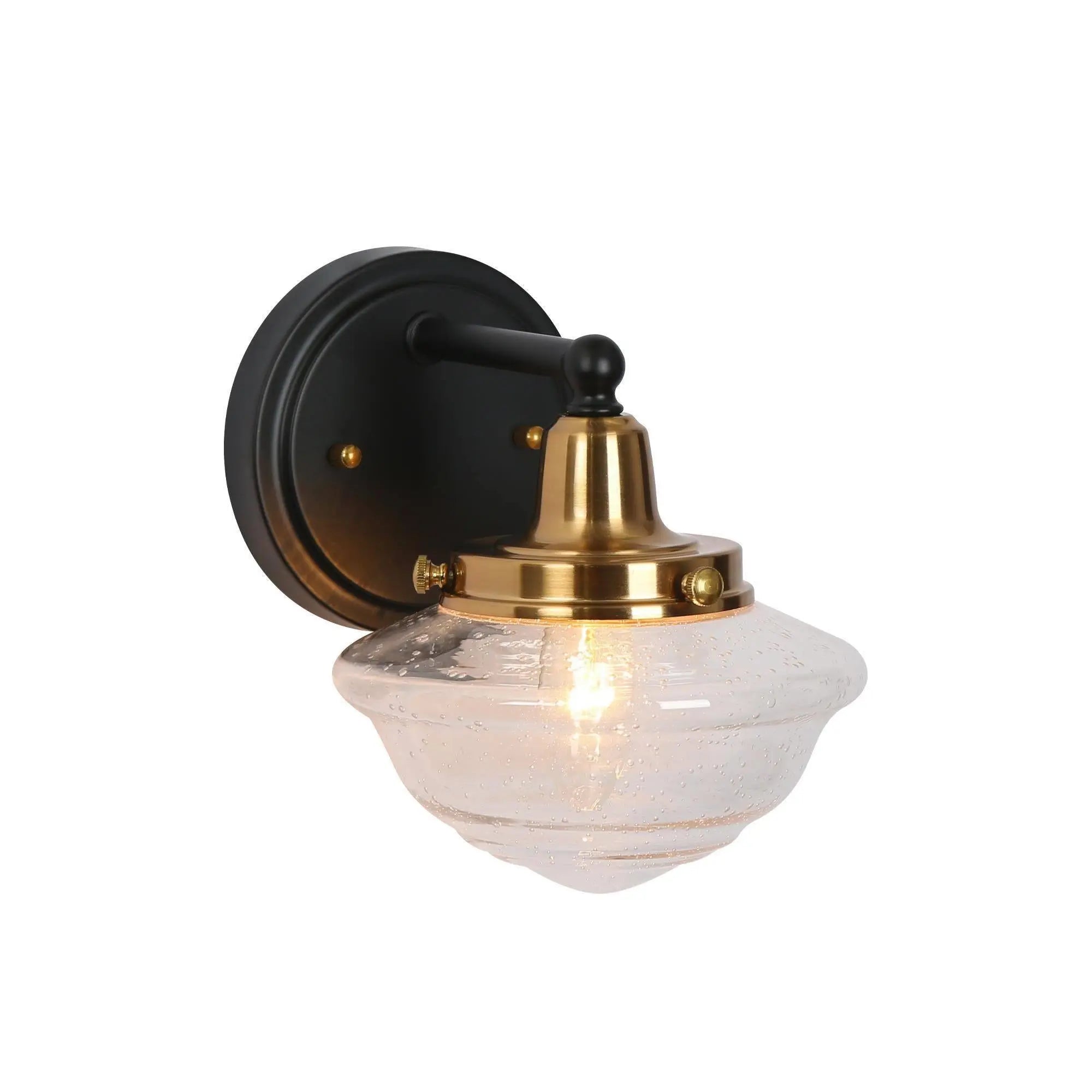 Gnetophyta 1-Light Black and Brass Vanity Light