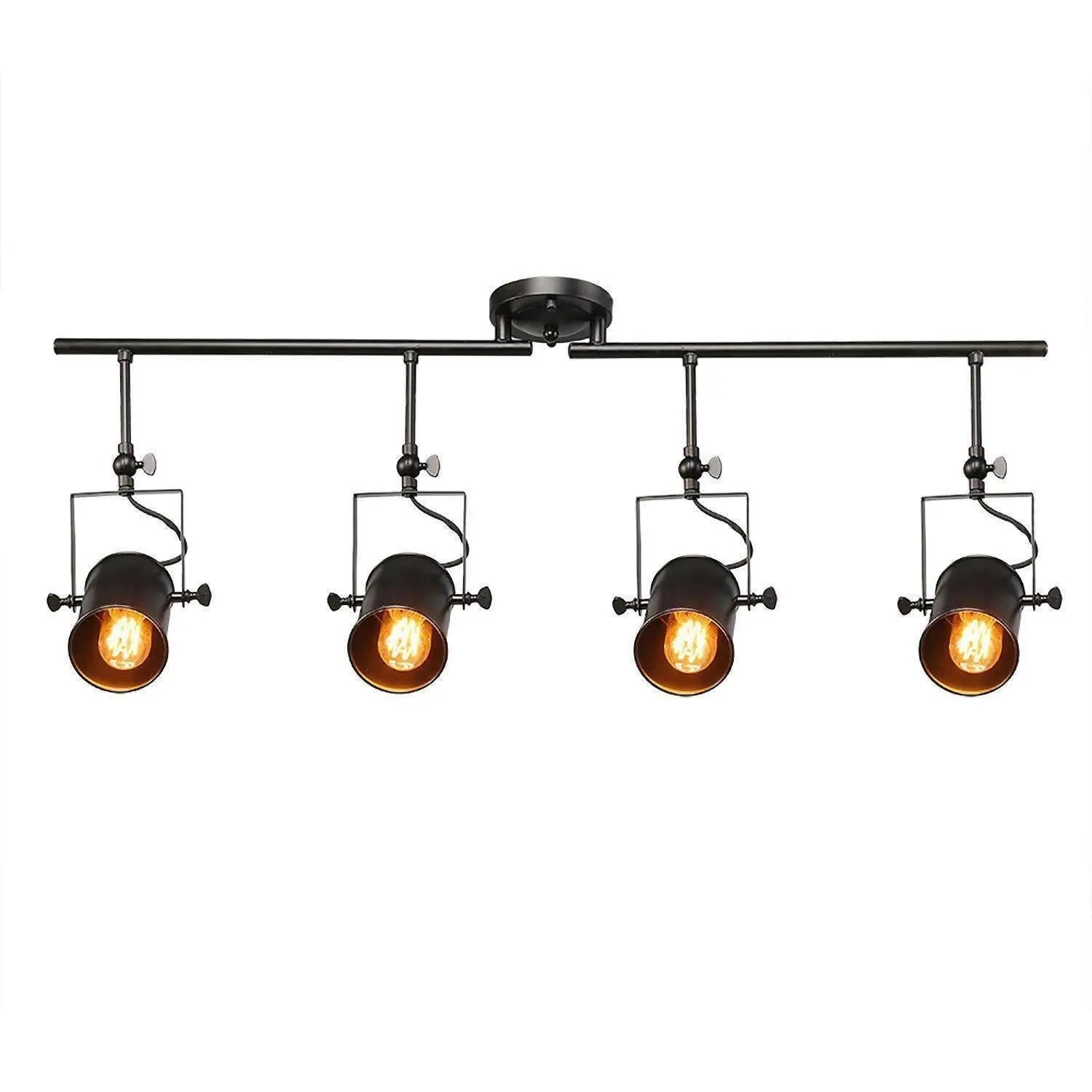 Hoatzin 4-Light Black Track Kit