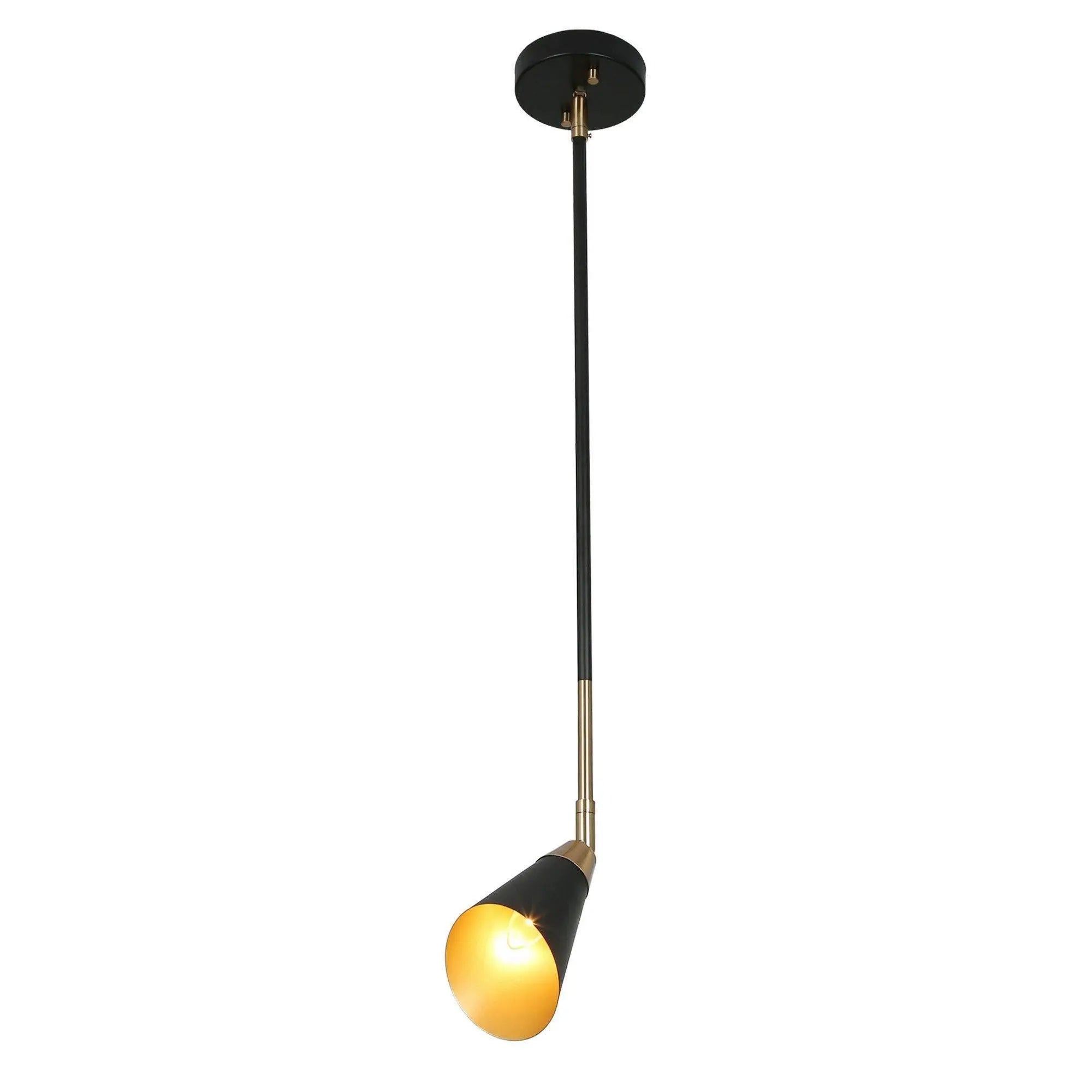 Anthurium 1-Light Mini Black Modern Pendant Light Fixtures