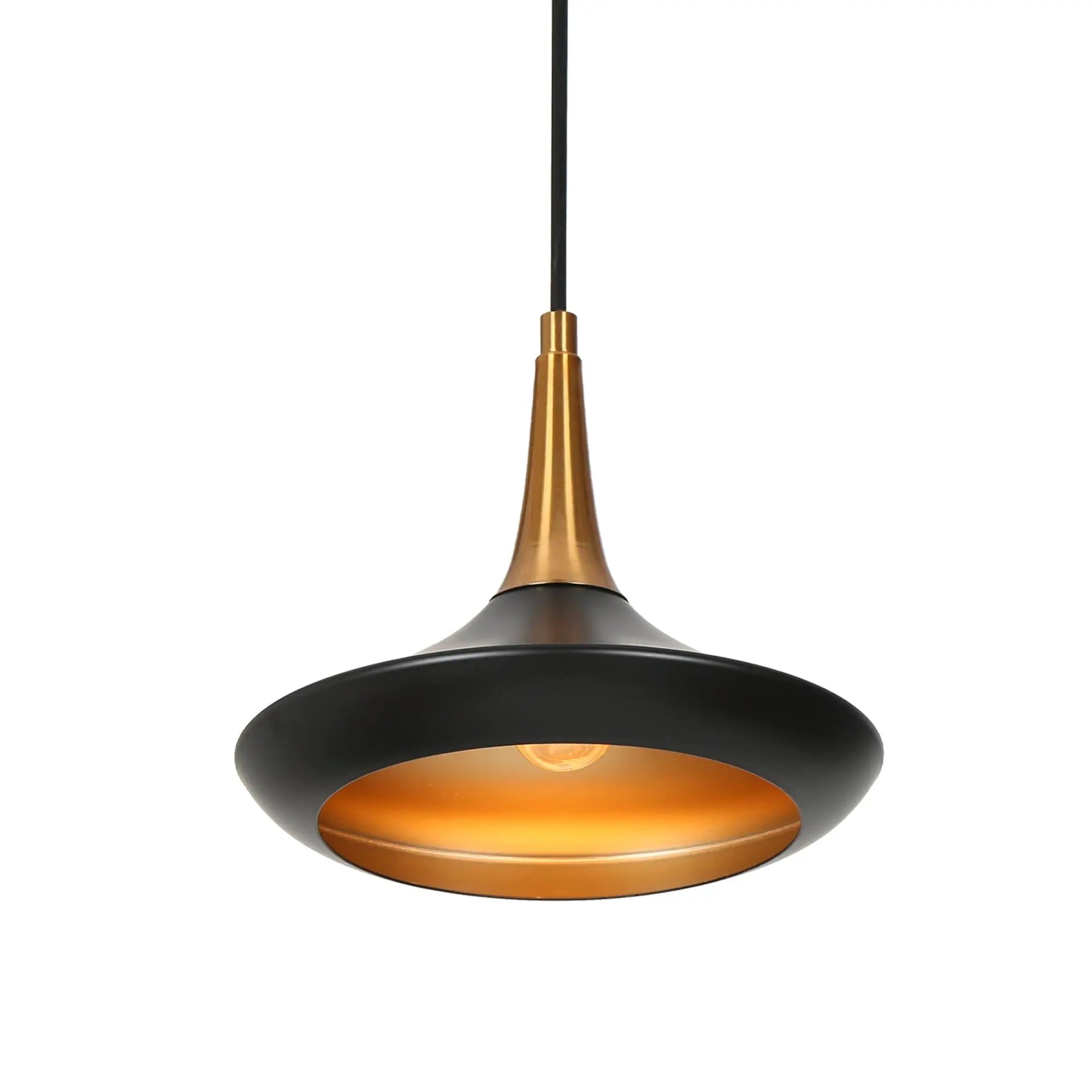 Phapricornus 1-Light Mini Black Modern Pendant Light Fixtures