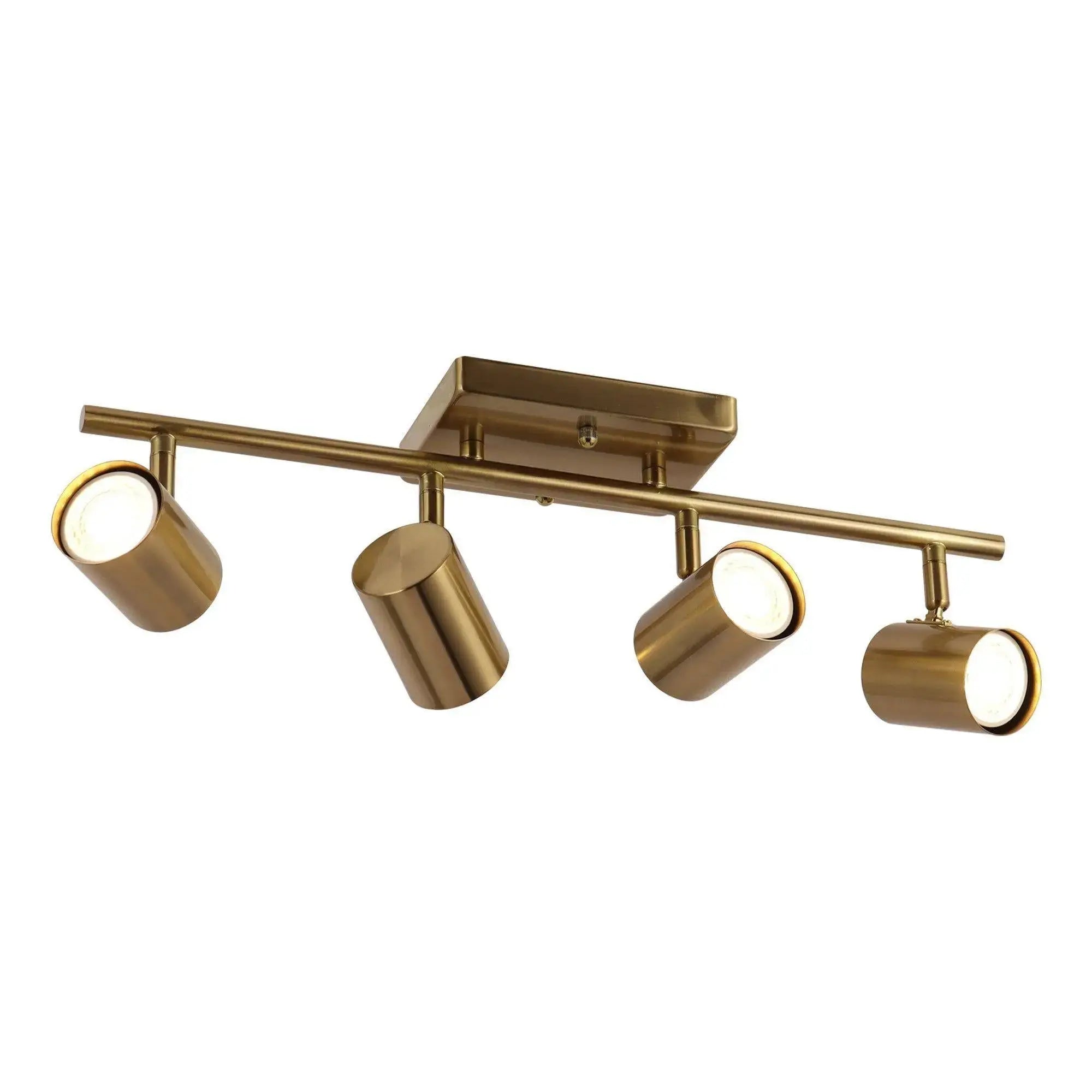 Serrulata 4-Light Brass Track Kit