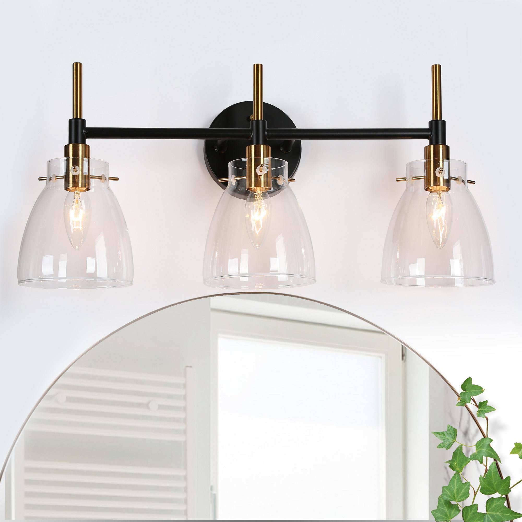 Aviannaiser 1-Light Black and Brass Vanity Light