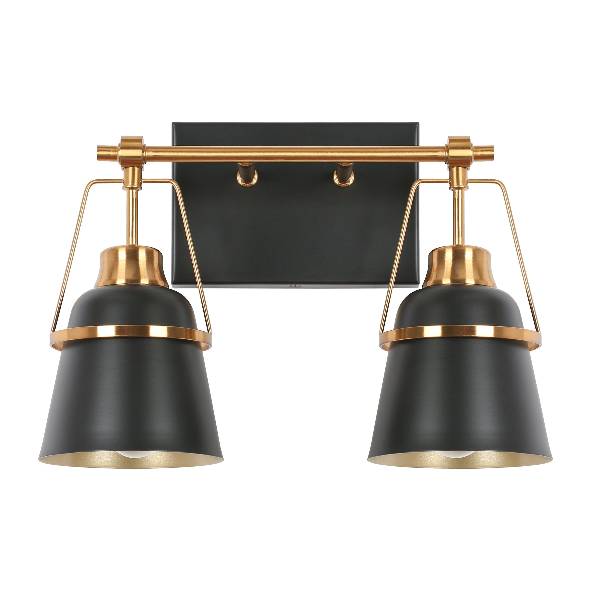 Alstroemeria 2-Light Black and Brass Vanity Light