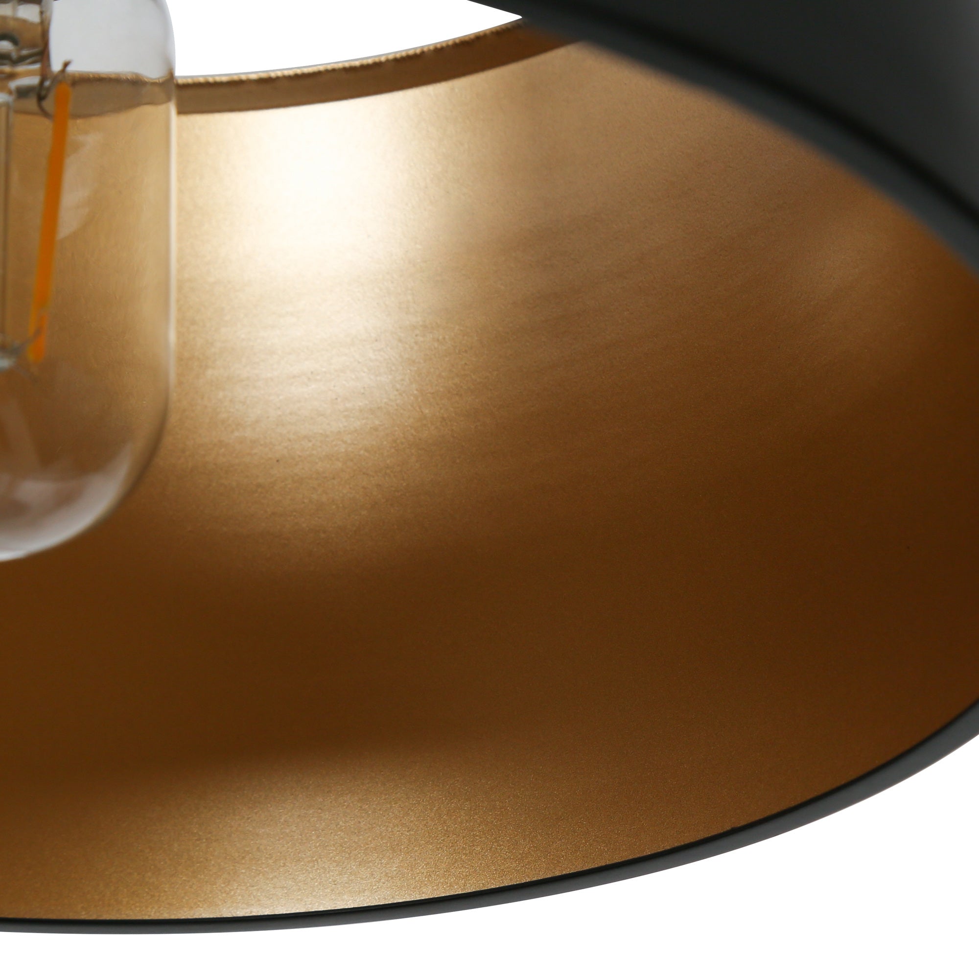 Turnipisne 1-Light Medium Black Modern Pendant Light Fixtures
