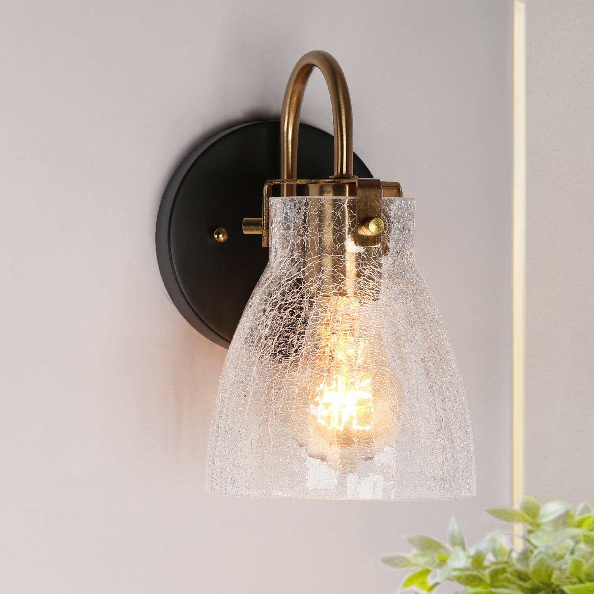 Aidtyrtm 1-Light Black and Brass Vanity Light