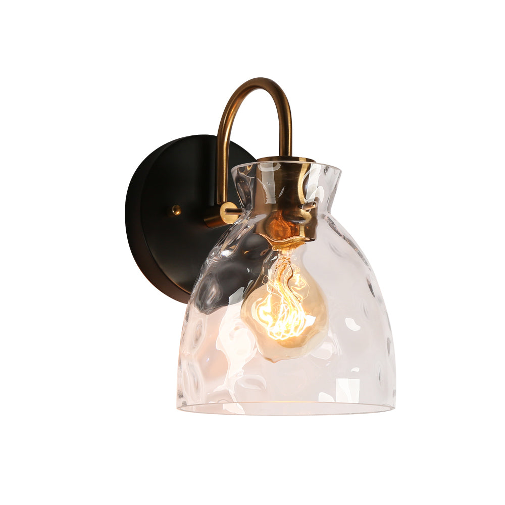 Letophafos 1-Light Black and Brass Vanity Light
