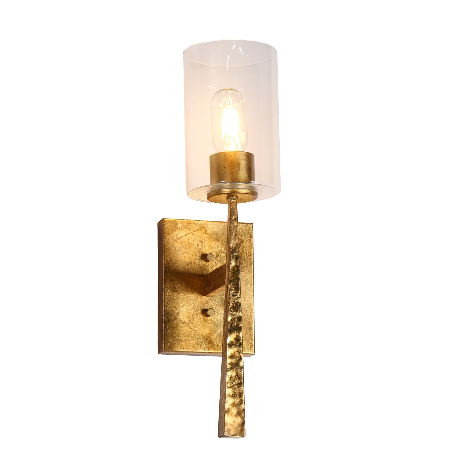 Thronifar 1-Light Modern Gold with Clear Glass Wall Sconces